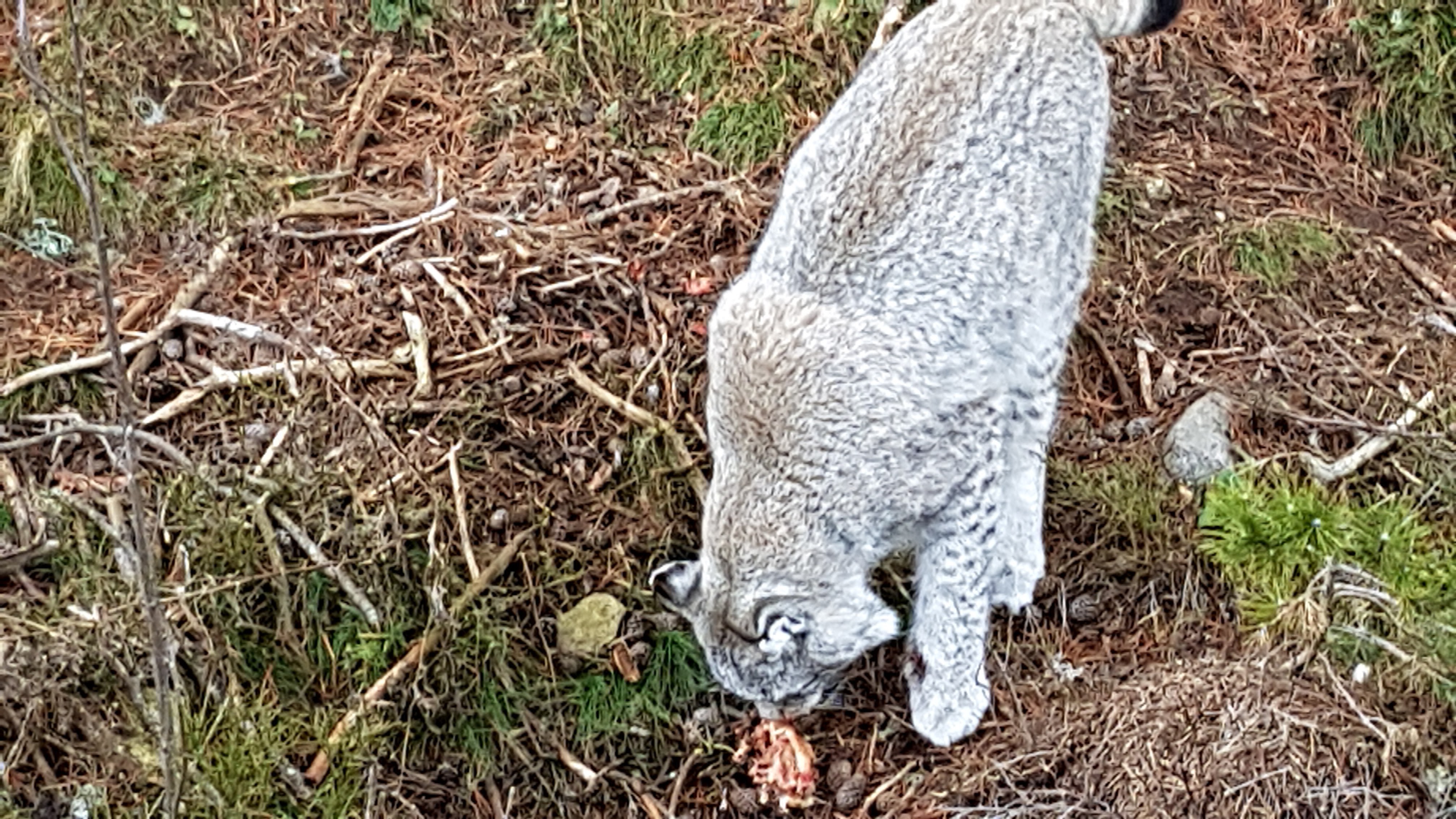 Photo n° 9 de l'avis de Nikolay.H fait le 26/12/2018 à 23:51