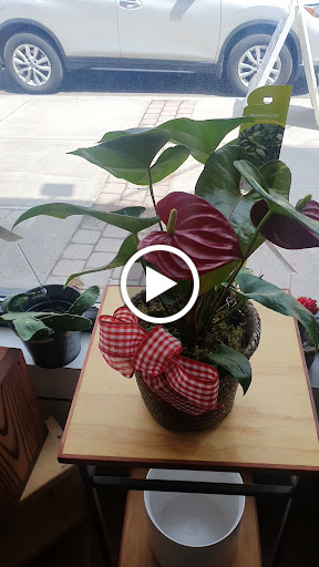 Florist «Westcott Florist», reviews and photos, 548 Westcott St, Syracuse, NY 13210, USA