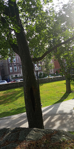 Park «Horatio Harris Park», reviews and photos, 85 Harold St, Boston, MA 02119, USA