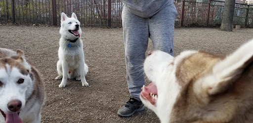 Park «Union Street Dog Park», reviews and photos, 59 Fair St, New Haven, CT 06511, USA