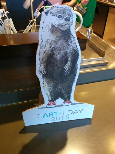 Coffee Shop «Starbucks», reviews and photos, 159 Sudbury Rd, Concord, MA 01742, USA