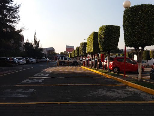 Universidad del Valle de México