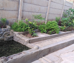 TAMAN MINI SAYURAN INDAH photo