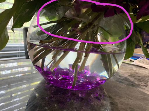 Florist «Mockingbird Lane Florist», reviews and photos, 5606 E Mockingbird Ln, Dallas, TX 75206, USA