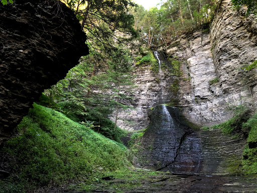 Nature Preserve «Sweedler and Thayer Preserves», reviews and photos, 10 Townline Rd, Ithaca, NY 14850, USA