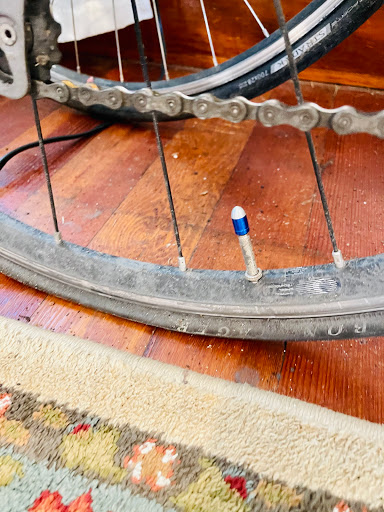 Bicycle Store «Southwest Bicycle, LLC», reviews and photos, 3605 SW Multnomah Blvd, Portland, OR 97219, USA