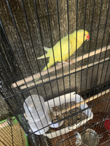 Pet Store «Pet Source 1901», reviews and photos, 1901 W 8th St B, Los Angeles, CA 90057, USA