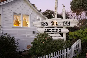 Seagull Inn Bed and Breakfast image