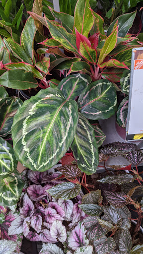 Home Improvement Store «The Home Depot», reviews and photos, 14000 Georgia Avenue, Aspen Hill, MD 20906, USA