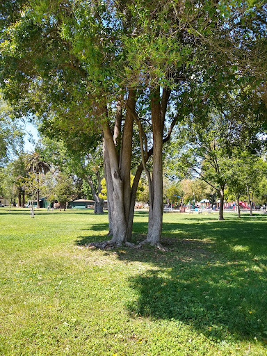 Park «Fuller Park», reviews and photos, 560 Jefferson St, Napa, CA 94559, USA