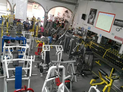 Steel Fitness & Gym area - Celaya - San Miguel De Allende 111, Col. Centro, 38000 Celaya, Gto., Mexico