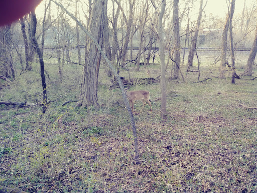 Country Club «Glen Oak Country Club», reviews and photos, 21 W 451 Hill Ave, Glen Ellyn, IL 60137, USA