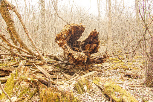 State Park «Willow River State Park», reviews and photos, 1034 County Highway A, Hudson, WI 54016, USA