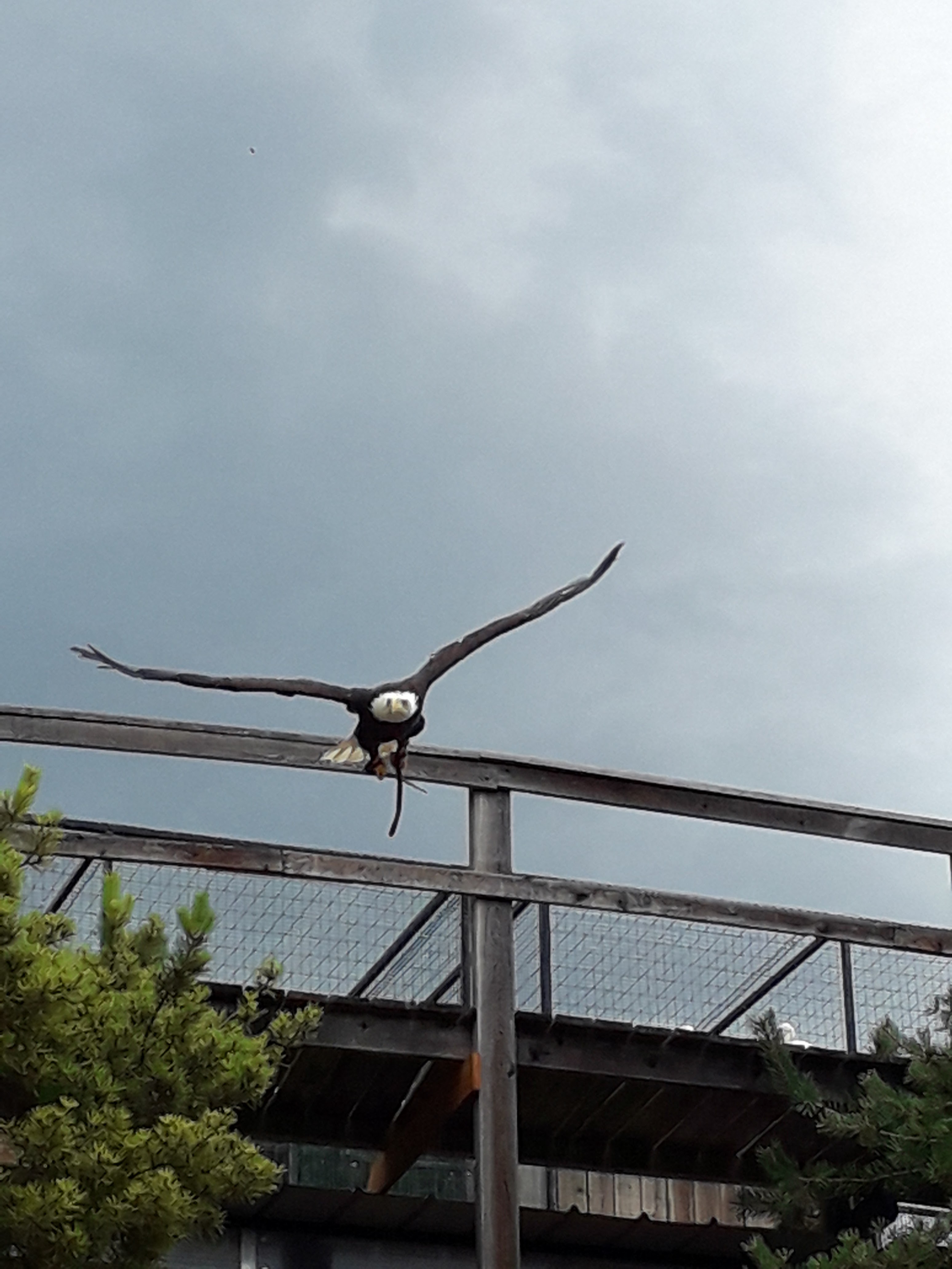 Photo n° 3 de l'avis de Freddy.E fait le 13/07/2021 à 19:58