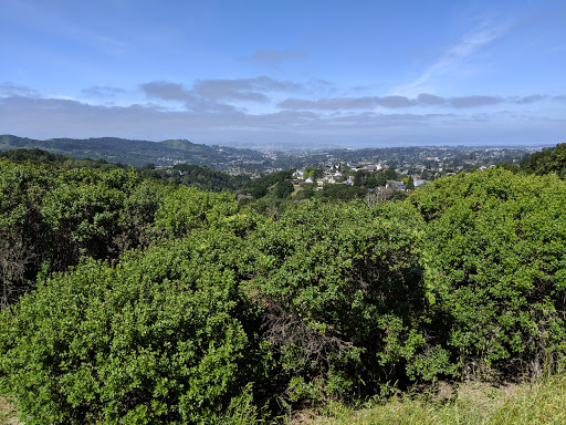 Nature Preserve «Sobrante Ridge Regional Preserve», reviews and photos, 5170 Coach Dr, Richmond, CA 94803, USA