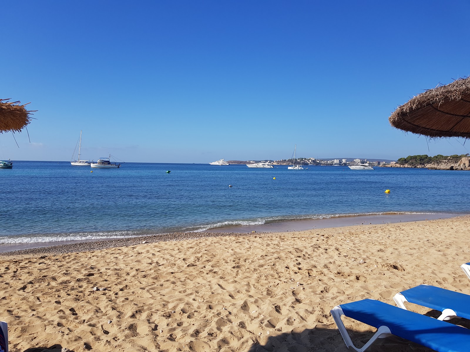 Costa d'en Blanes的照片 带有碧绿色纯水表面