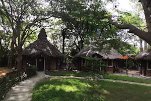 Mandinari River Lodge image