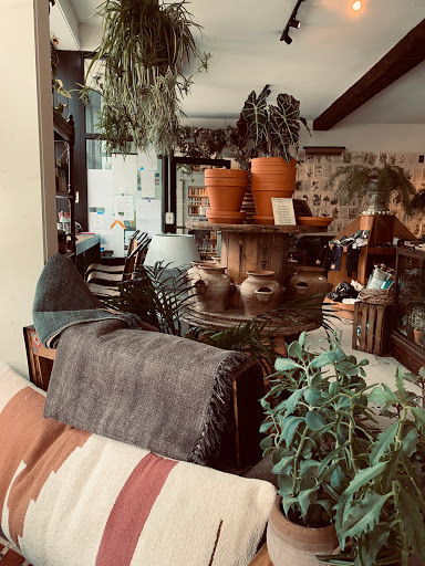 Florist «Flora», reviews and photos, 428 Haywood Rd B, Asheville, NC 28806, USA