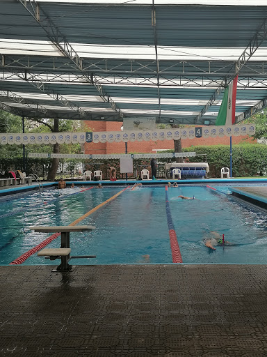 Clases natacion adultos Monterrey