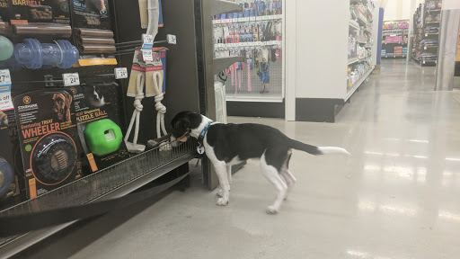 Pet Supply Store «Petco Animal Supplies», reviews and photos, 1574 N Dupont Hwy #300, Dover, DE 19901, USA