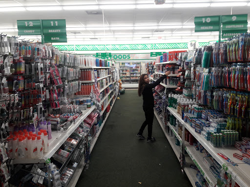 Dollar Store «Dollar Tree», reviews and photos, 4160 Lincoln Blvd, Marina Del Rey, CA 90292, USA