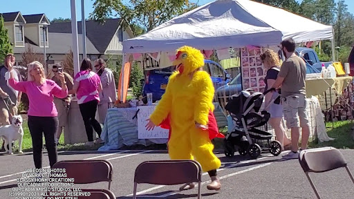 Home Improvement Store «Tractor Supply Co.», reviews and photos, 1611 Ulster Ave, Lake Katrine, NY 12449, USA