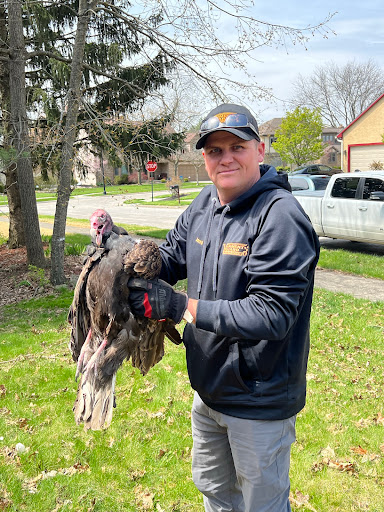 Pest Control Service «Varment Guard Environmental Services Inc.», reviews and photos