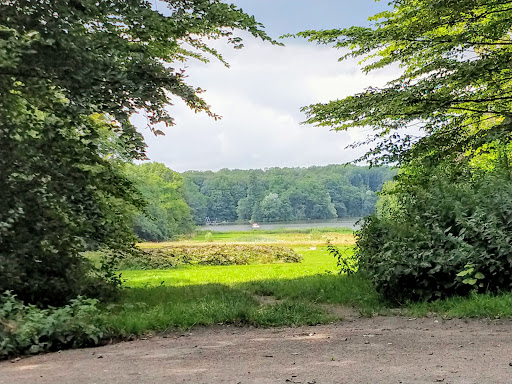 Het Amsterdamse Bos