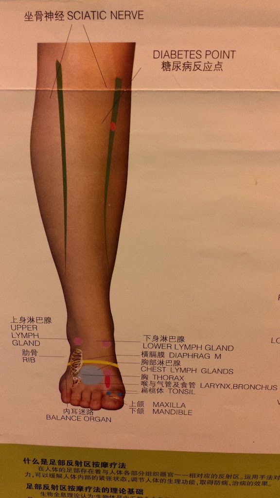 Bliss Oriental Massage 67401