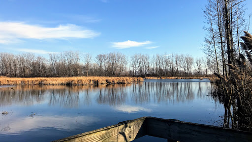 Golf Course «Lake Erie Metropark Golf Course», reviews and photos, 14786 Lee Rd, Rockwood, MI 48173, USA