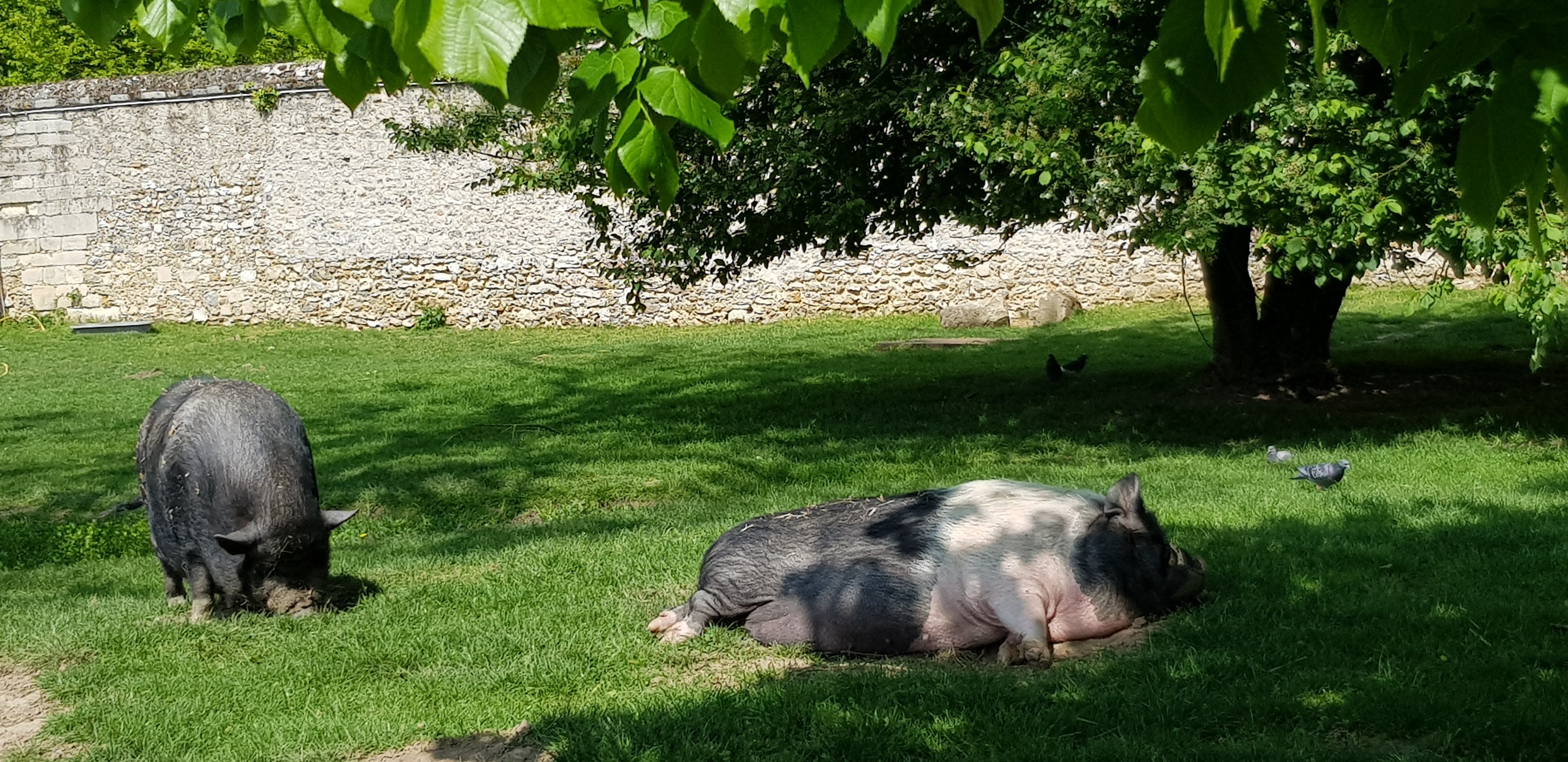 Photo n° 5 de l'avis de Anna.p fait le 01/05/2019 à 20:25