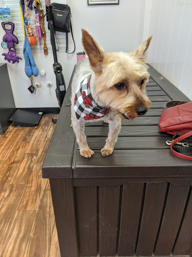 Pet Groomer «A Klassy Lassie, LLC», reviews and photos, 30 Old Jackson Rd, McDonough, GA 30252, USA
