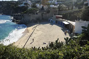 Platja del Port Pelegrí image