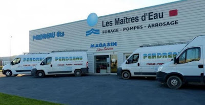 Perdreau à Créances