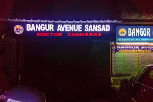 Bangur Avenue Sansad image