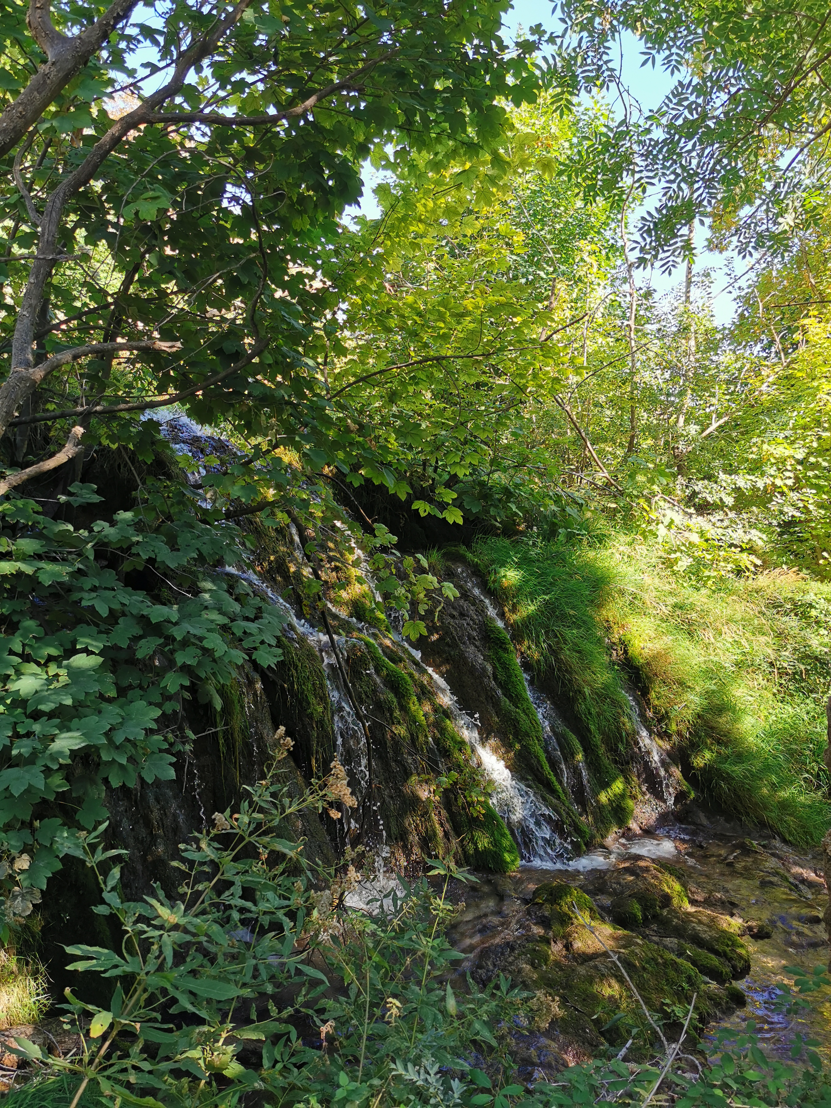 Photo n° 5 de l'avis de Marina.a fait le 28/08/2022 à 11:32