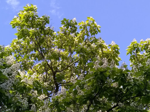 Park «Masconomo Park», reviews and photos, 60 Beach St, Manchester-by-the-Sea, MA 01944, USA