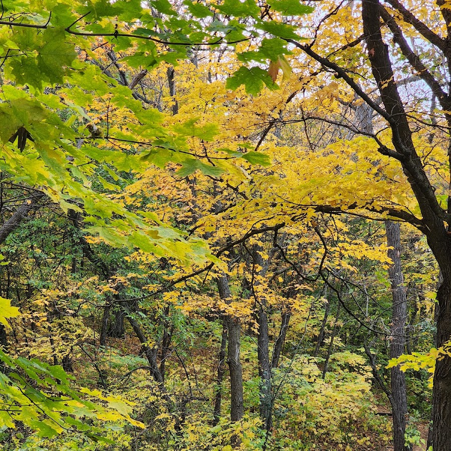 Sica Hollow State Park