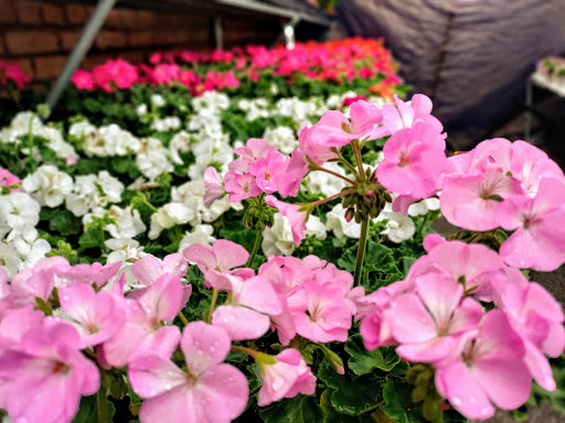 Hardware Store «Tele-Tron Ace Hardware», reviews and photos, 6604 Cermak Rd, Berwyn, IL 60402, USA