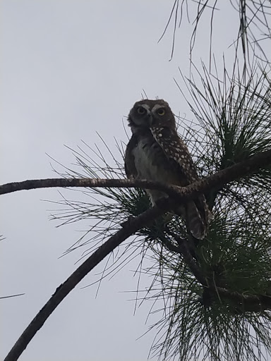 Park «Brian Piccolo Sports Park & Velodrome», reviews and photos, 9501 Sheridan St, Hollywood, FL 33024, USA