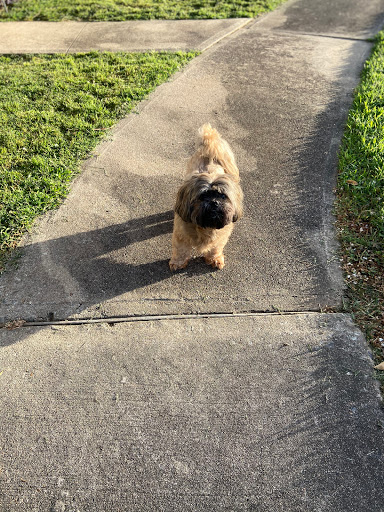 Rose Bud Animal Clinic image