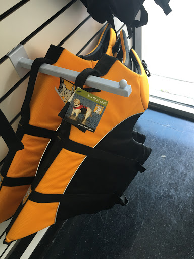 Pet Groomer «Hollywood Houndz Boutique, Spa & Hotel», reviews and photos, 4243 W Lake Mary Blvd, Lake Mary, FL 32746, USA