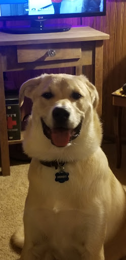 Pet Supply Store «PetSmart», reviews and photos, 5005 S 74th St, Greenfield, WI 53220, USA