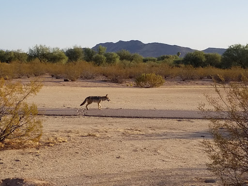 Golf Course «The 500 Club», reviews and photos, 4707 W Pinnacle Peak Rd, Glendale, AZ 85310, USA