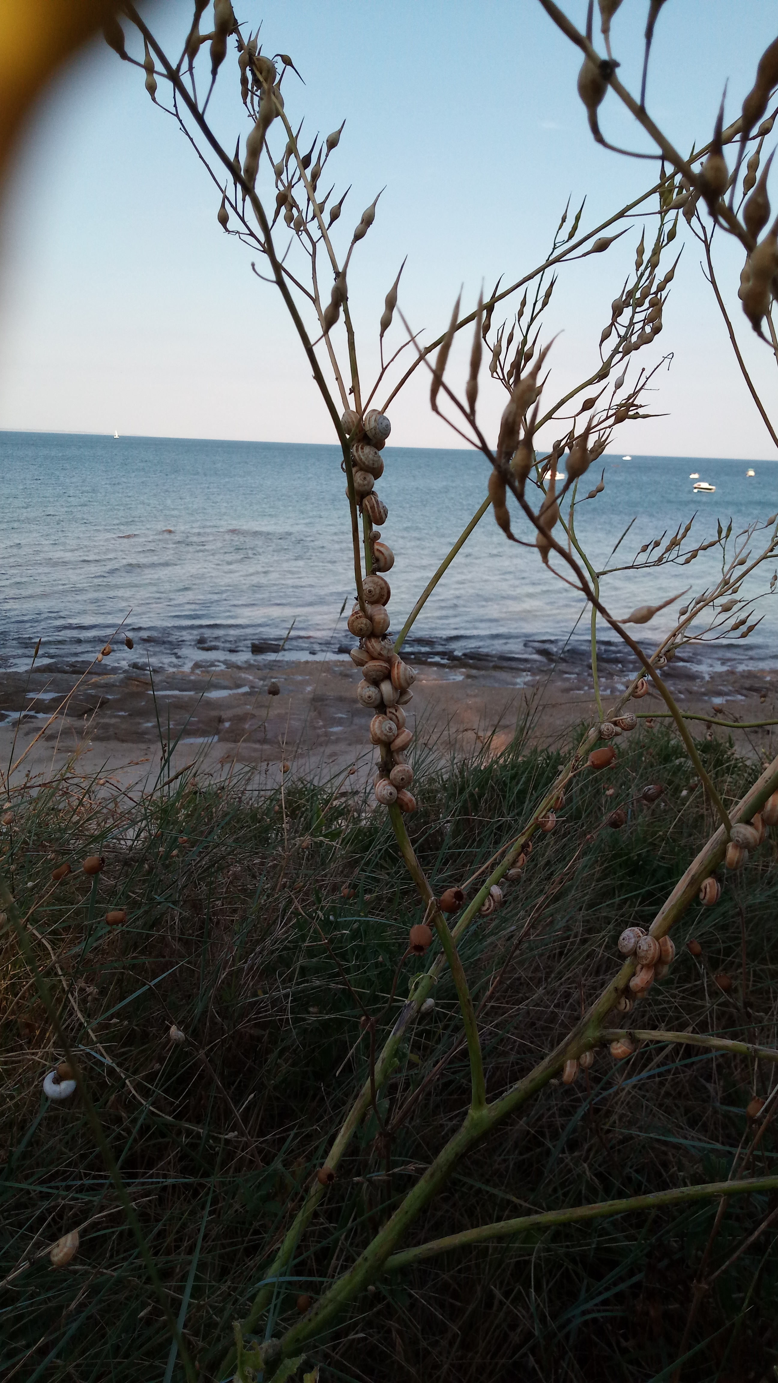Photo n° 2 de l'avis de Jérôme.� fait le 20/07/2018 à 14:02