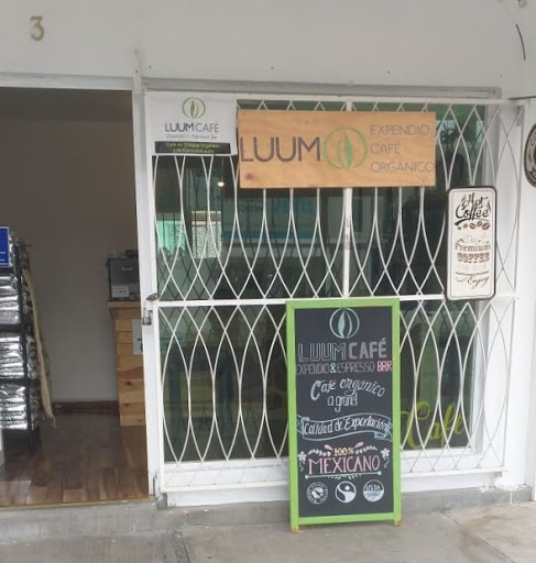 Luum Cafe. Expendio & Espresso Bar