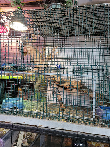 Cold Blooded Pets, 176 Main St, Acushnet, MA 02743, USA, 