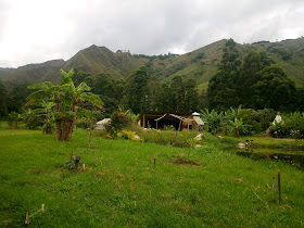 Chambalabamba