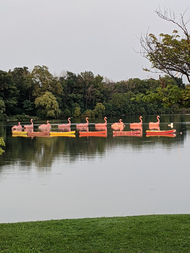 Tourist Attraction «Hoyt Lake», reviews and photos, 199 Lincoln Pkwy, Buffalo, NY 14222, USA