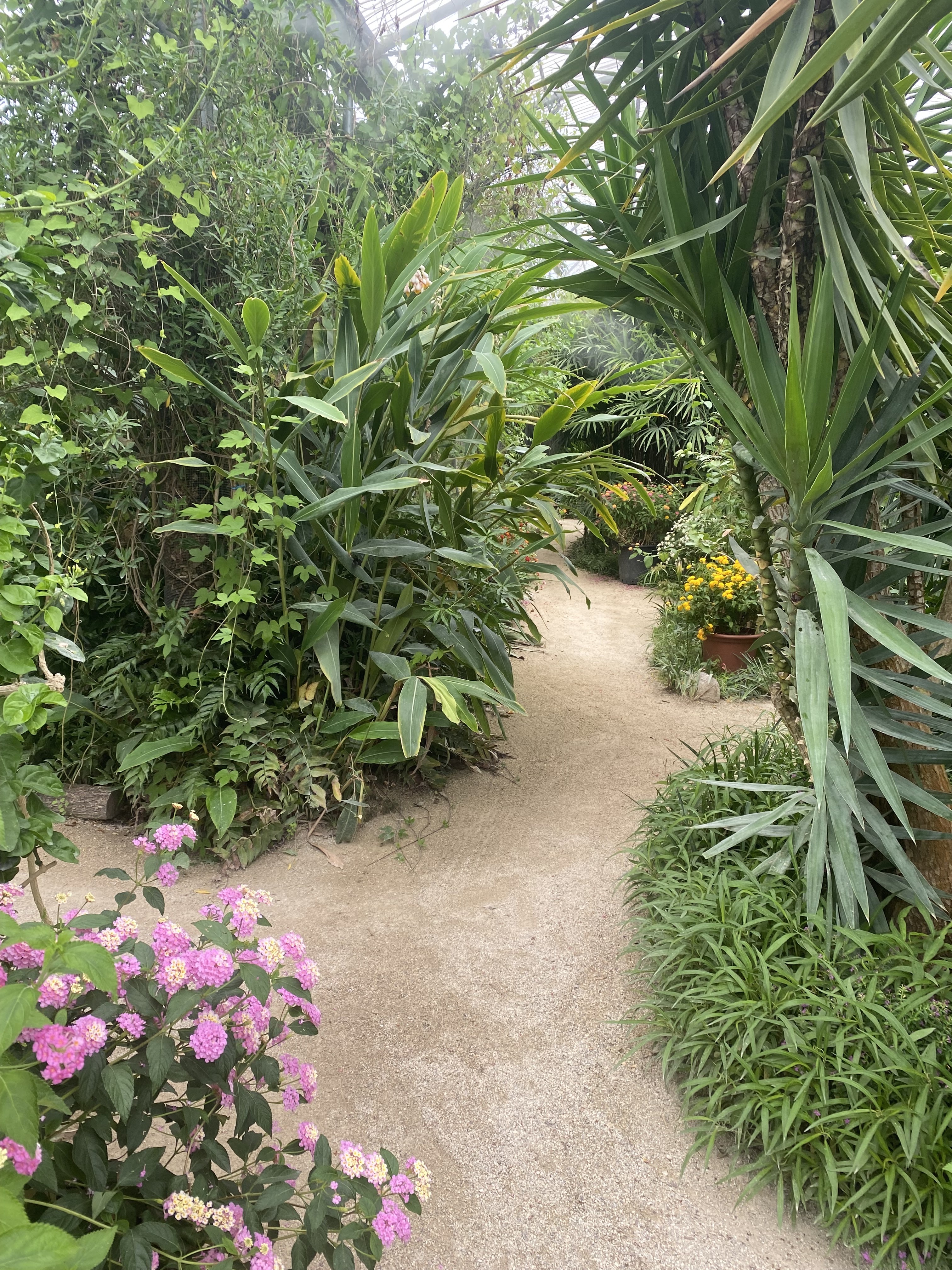 Photo n° 5 de l'avis de Veronique.a fait le 11/06/2023 à 15:36
